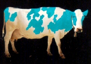 Blue Cow !!