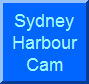 Sydney Harbour Cam
